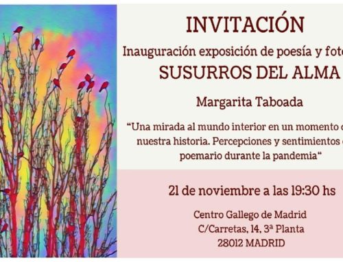 Exposición de poesía y fotografía de Margarita Taboada (21 noviembre)